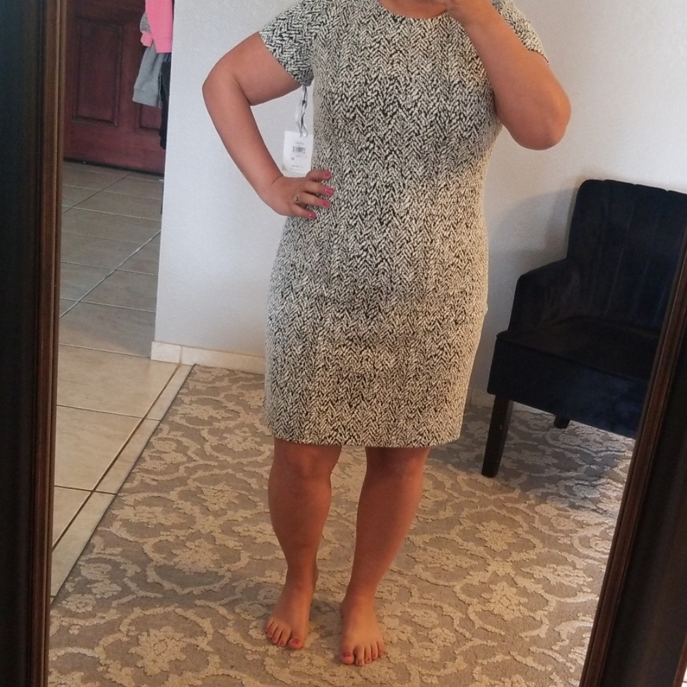 Calvin Klein Women's dress